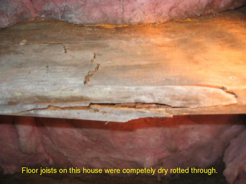 AccuPro HVAC inspection photo 13