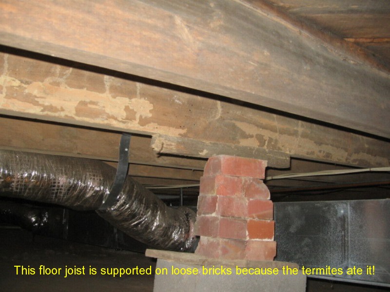 AccuPro moisture inspection photo 18
