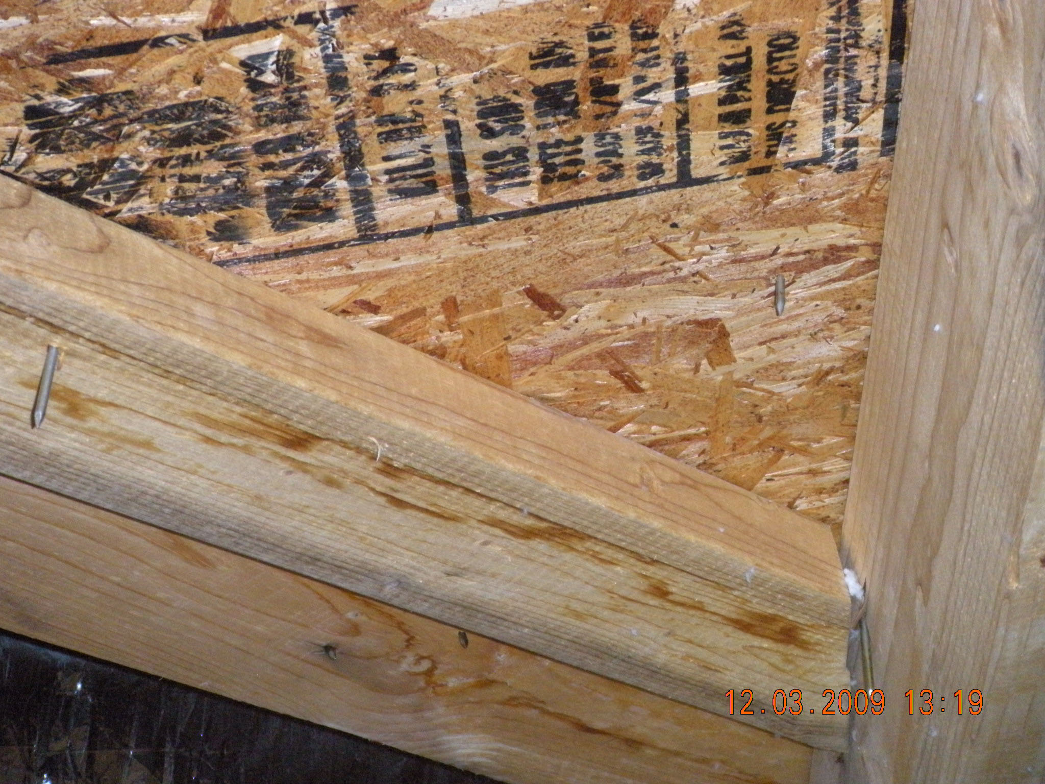 AccuPro interior inspection photo 39